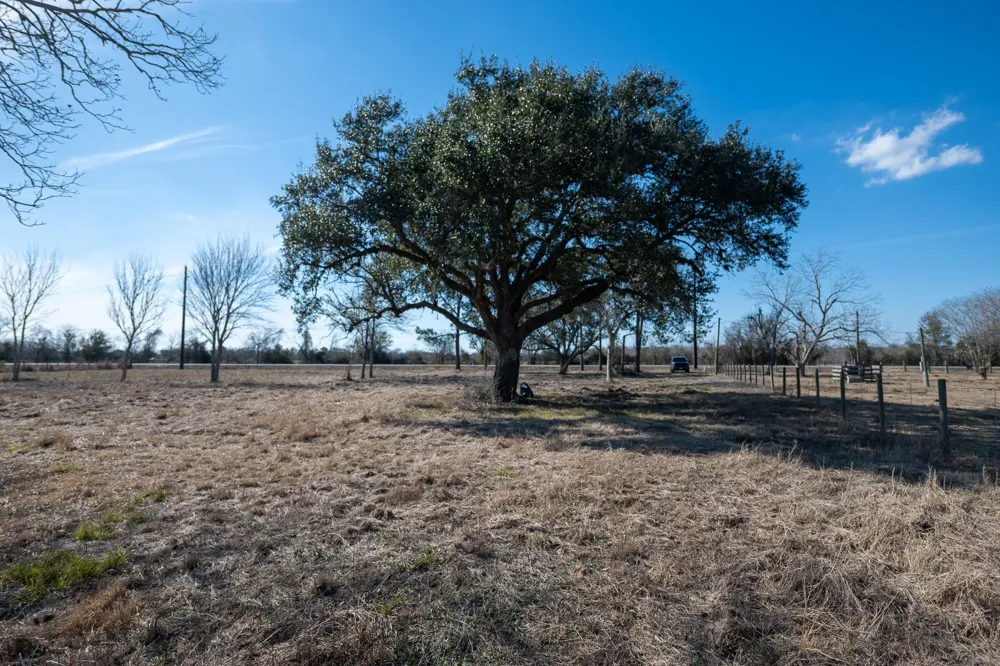 11719 Pursley Boulevard Iowa Colony, TX 77583