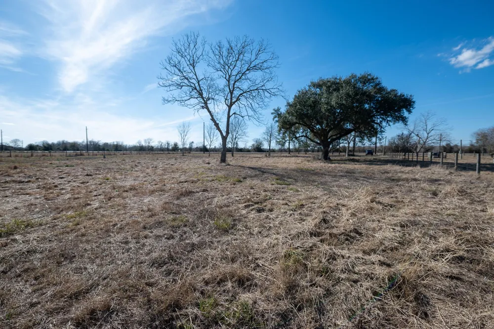 11719 Pursley Boulevard Iowa Colony, TX 77583
