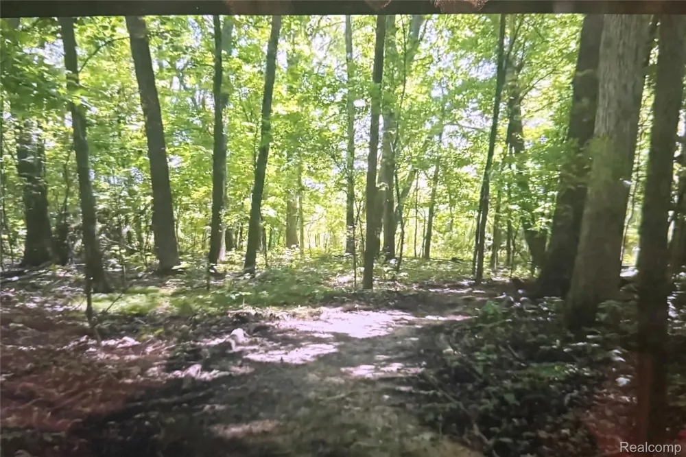 Rolling Acres Drive Brandon Charter Township, MI 48462