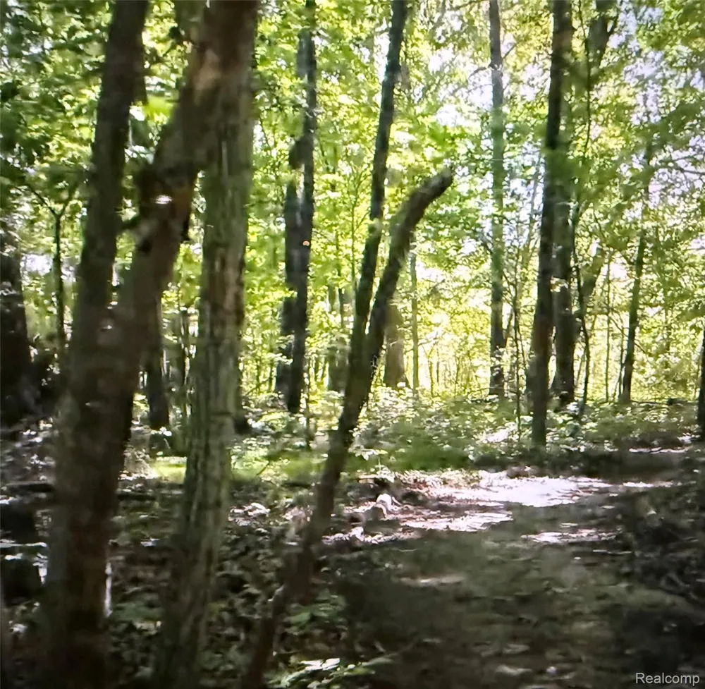 Rolling Acres Drive Brandon Charter Township, MI 48462