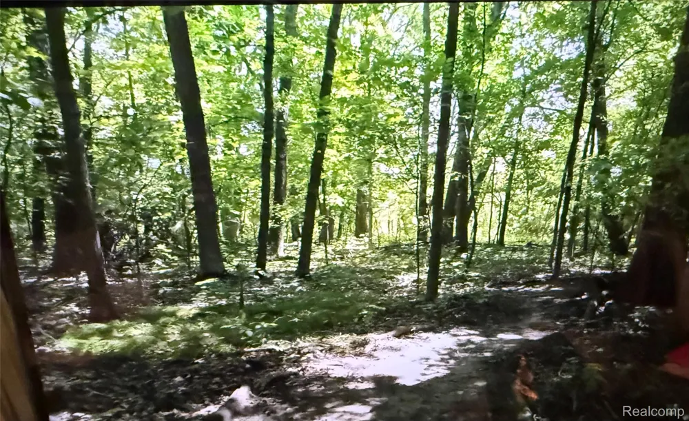 Rolling Acres Drive Brandon Charter Township, MI 48462