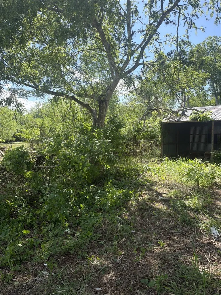 6141 Carrie Beth Sandia, TX 78383