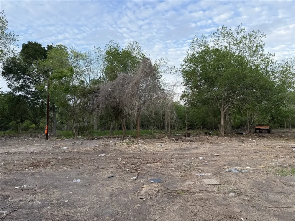 6141 Carrie Beth Sandia, TX 78383