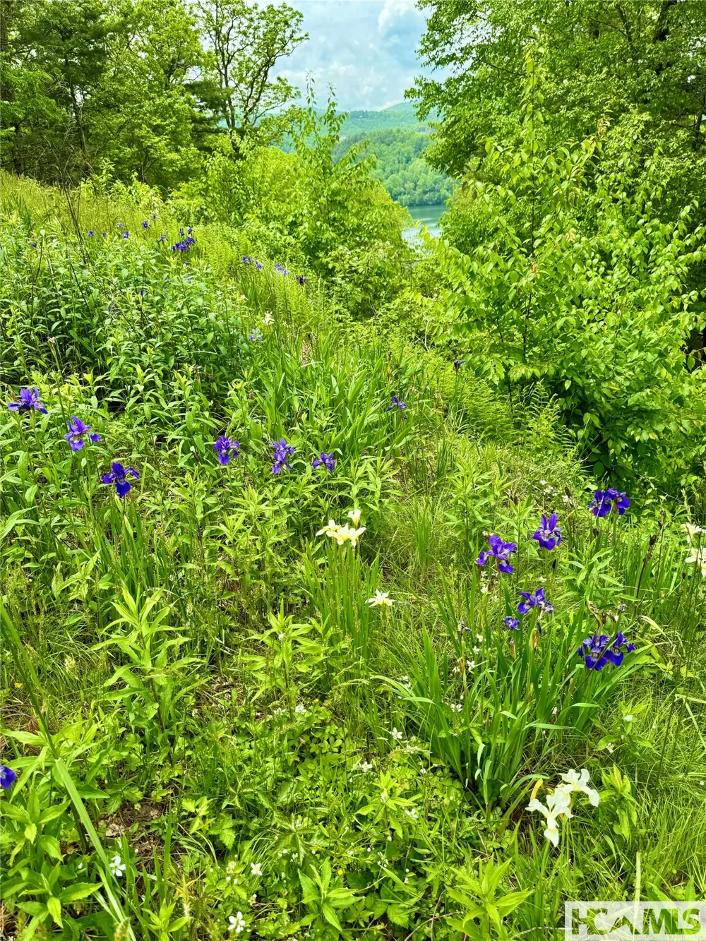 TBD Mountain Harbor Club Glenville, NC 28736