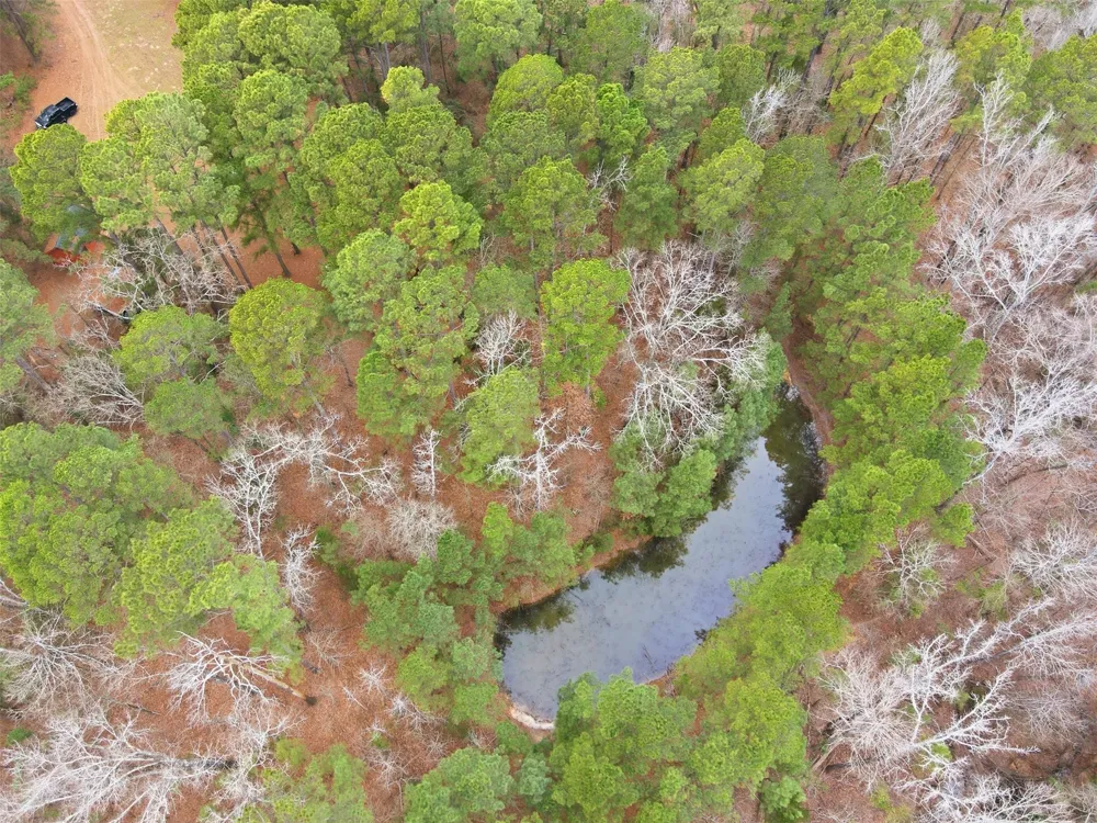 2360 County Road 4660 Winnsboro, TX 75494