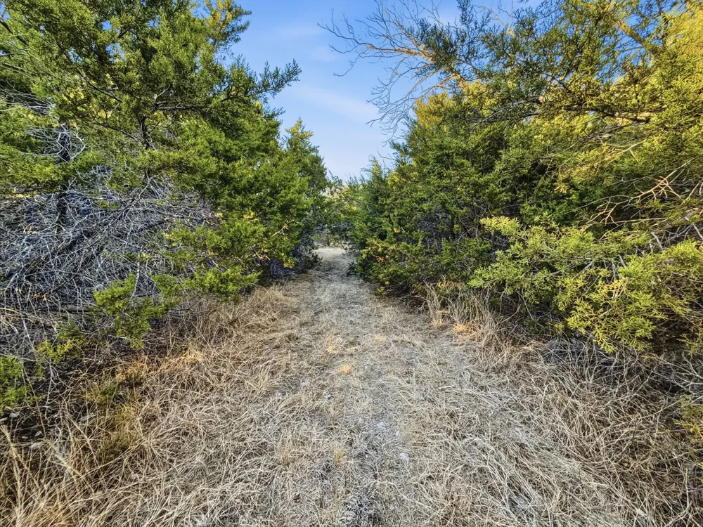 County Road 310 Jonesboro, TX 76585