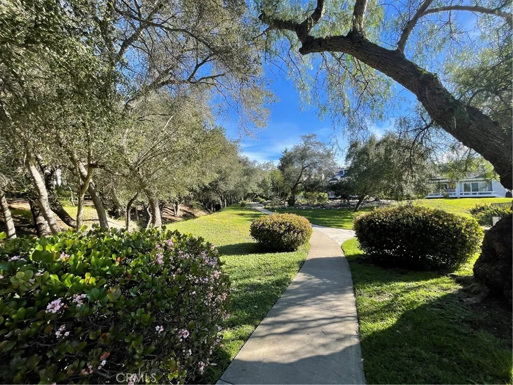31601 Via Conejo Coto de Caza, CA 92679