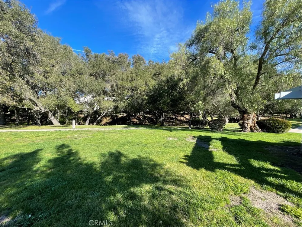 31601 Via Conejo Coto de Caza, CA 92679