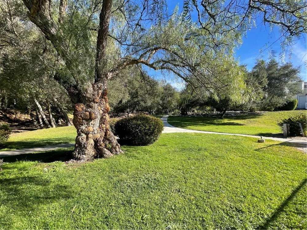 31601 Via Conejo Coto de Caza, CA 92679