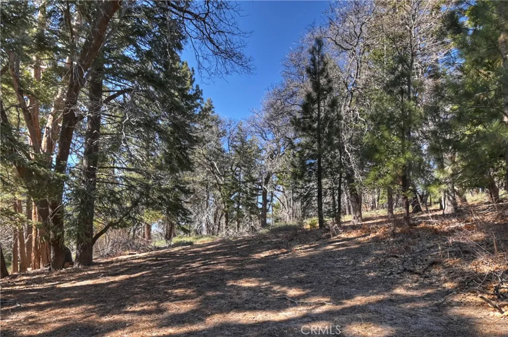 33874 Green Valley Lake Road Green Valley Lake, CA 92341
