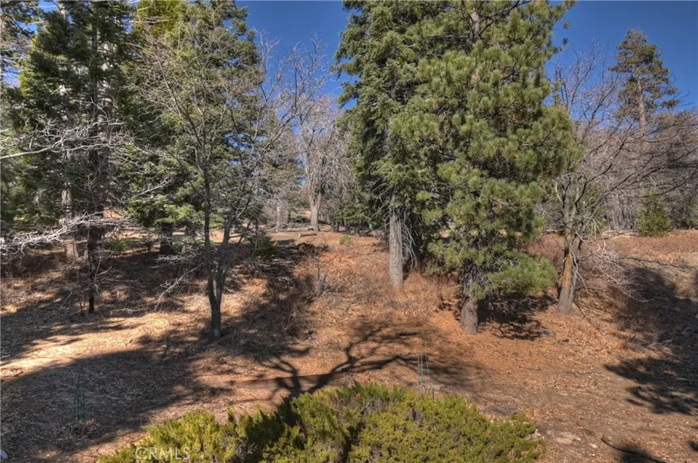 33874 Green Valley Lake Road Green Valley Lake, CA 92341
