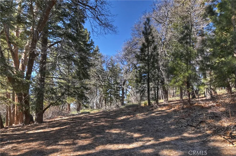 33874 Green Valley Lake Road Green Valley Lake, CA 92341