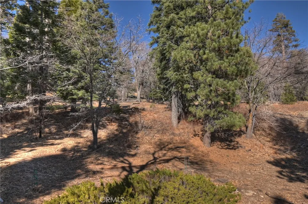 33874 Green Valley Lake Road Green Valley Lake, CA 92341