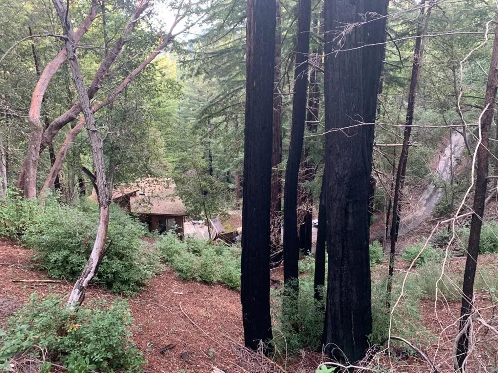 615 Heartwood Boulder Creek, CA 95006