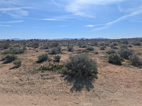 Near Indian Wells