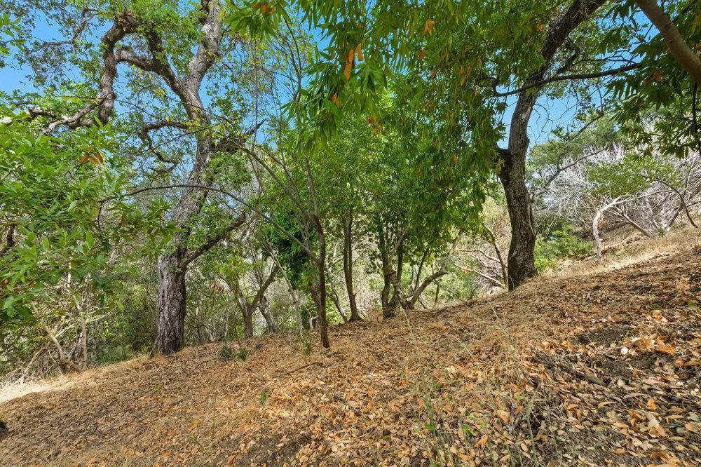 Lakeview Way Redwood City, CA 94062