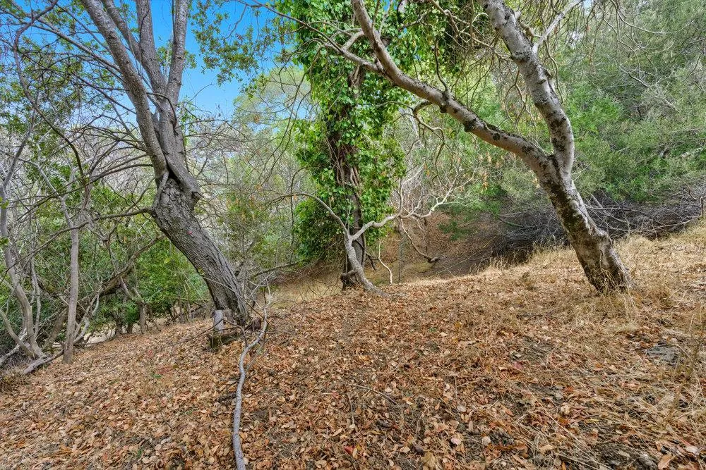 Lakeview Way Redwood City, CA 94062