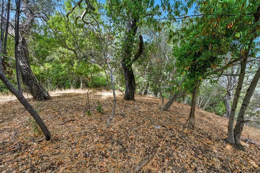 Lakeview Way Redwood City, CA 94062