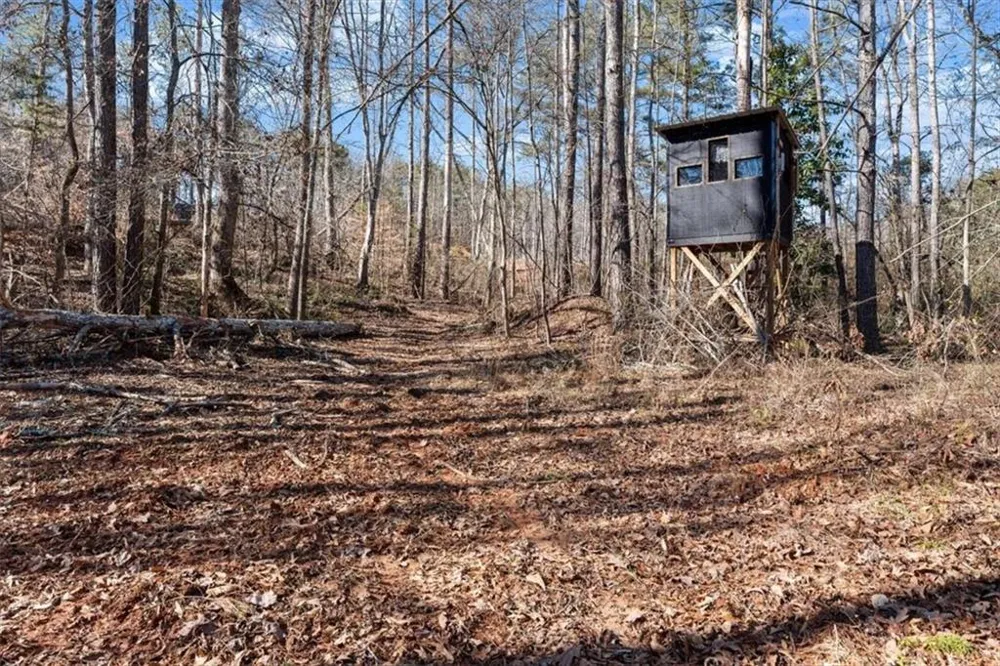80 Hand Road Bowdon, GA 30108