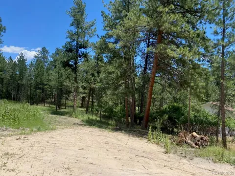 1025 Tenderfoot Drive