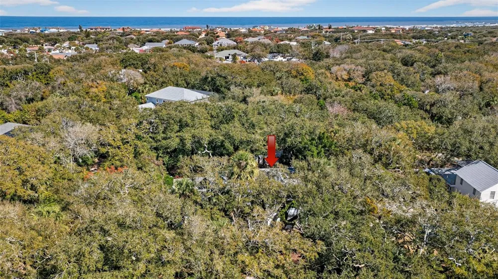 4875 SAILFISH DRIVE Ponce Inlet, FL 32127