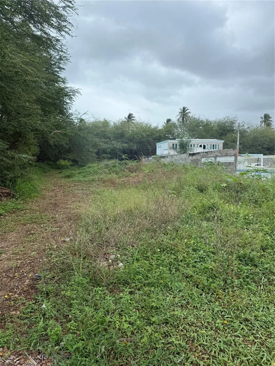 CALLE SANTILLANA Loiza, PR 00772