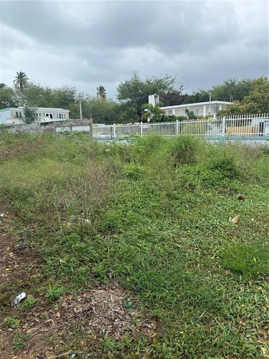 CALLE SANTILLANA Loiza, PR 00772