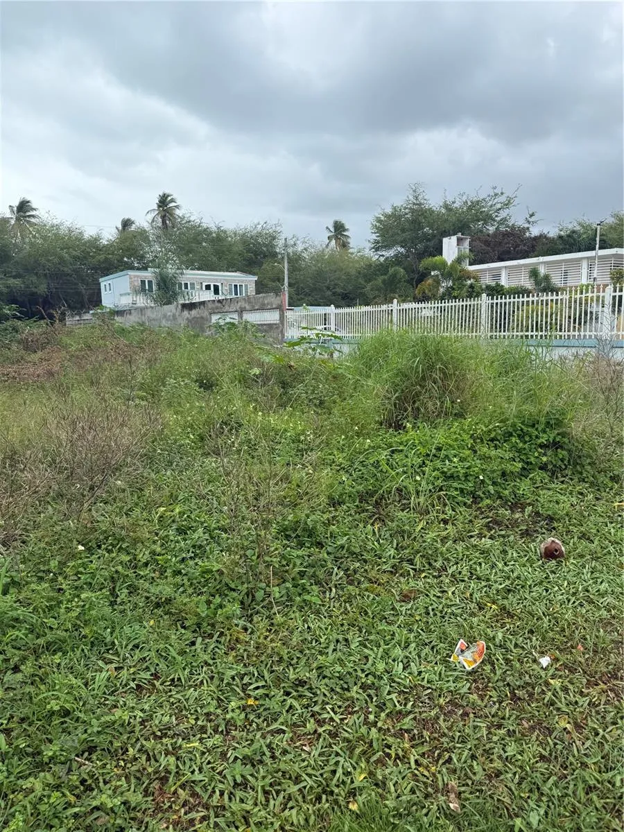 CALLE SANTILLANA Loiza, PR 00772