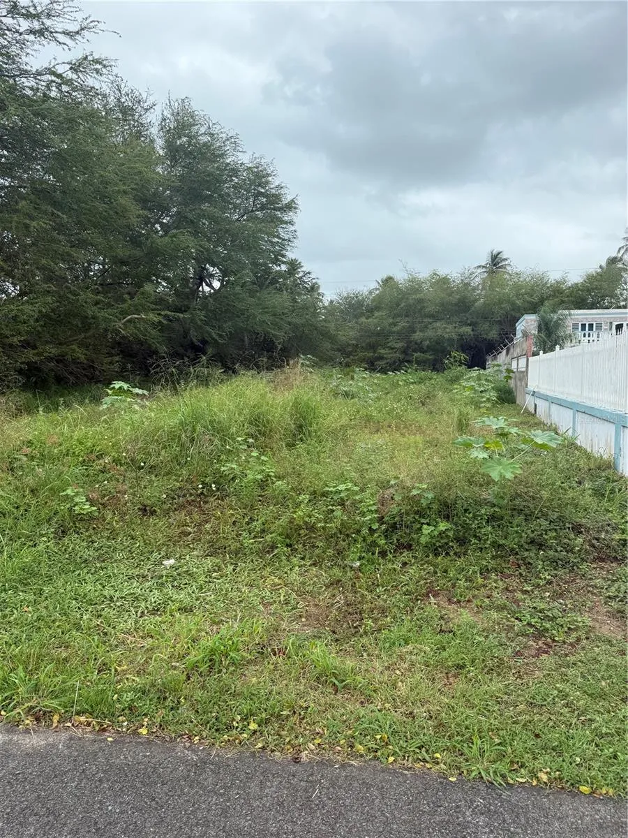 CALLE SANTILLANA Loiza, PR 00772