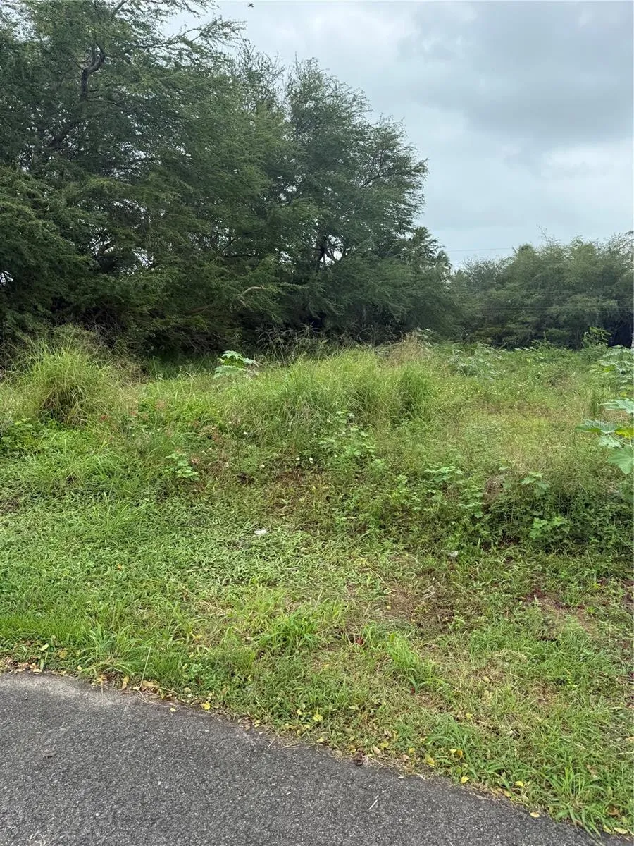 CALLE SANTILLANA Loiza, PR 00772