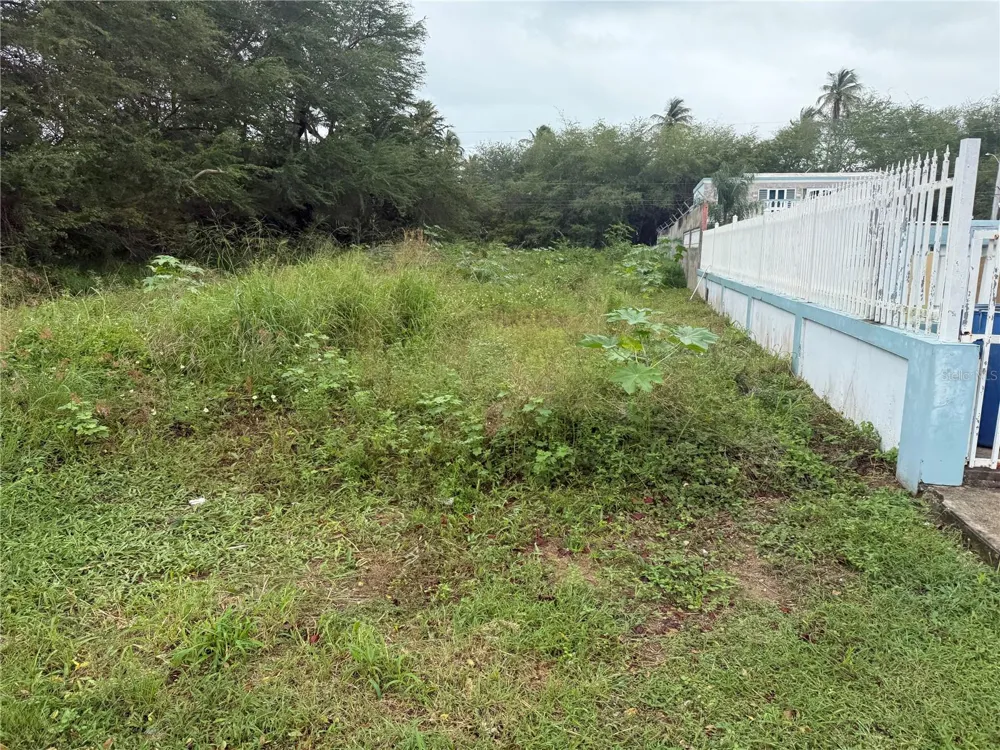 CALLE SANTILLANA Loiza, PR 00772