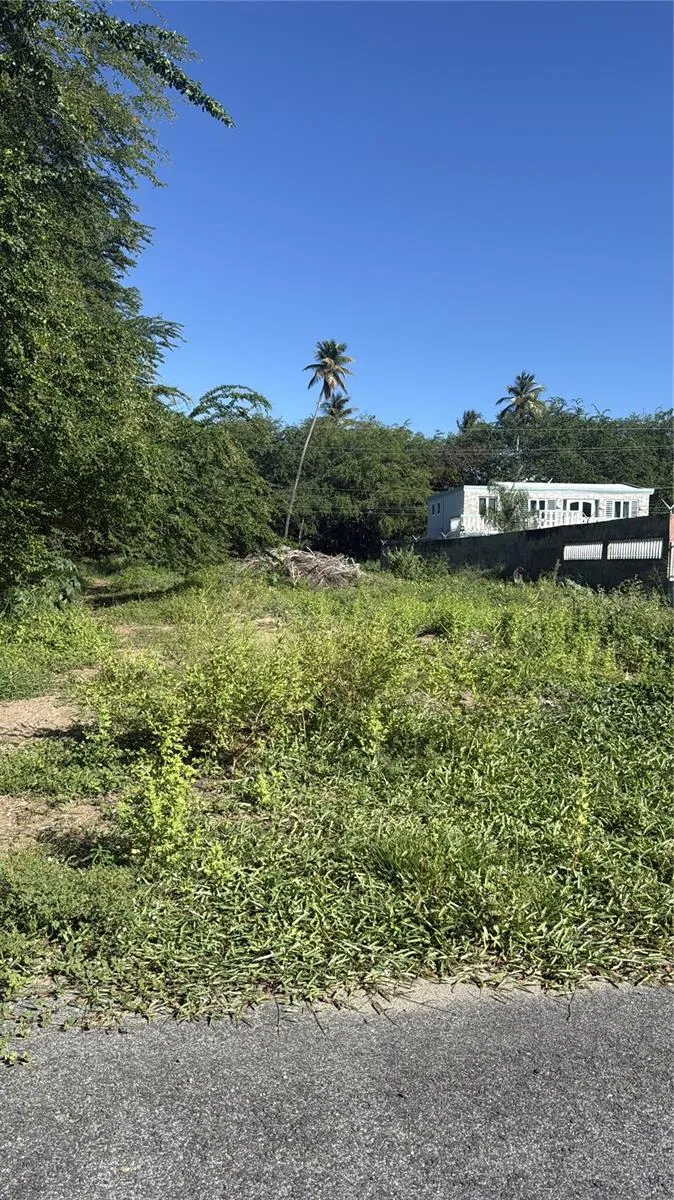 CALLE SANTILLANA Loiza, PR 00772