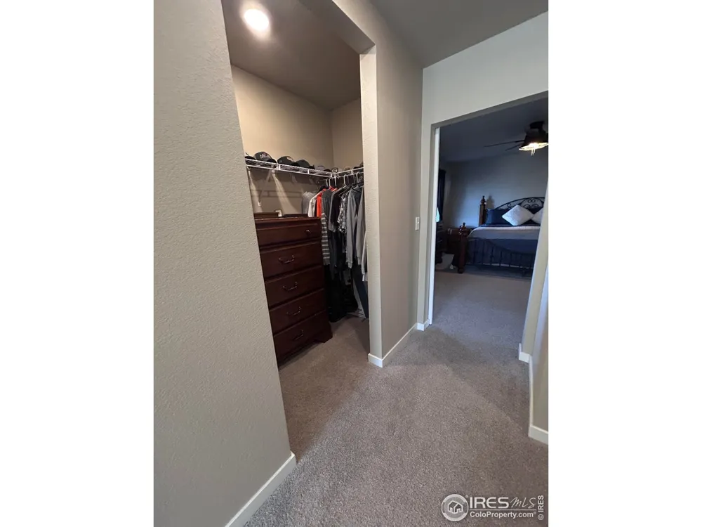 1202 Coyote Lane Wiggins, CO 80654