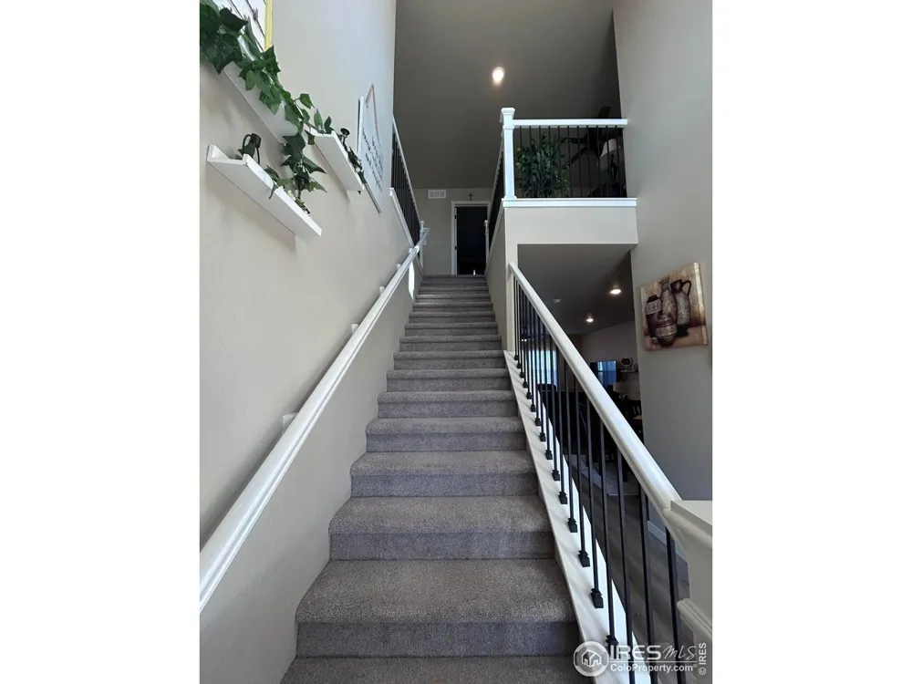 1202 Coyote Lane Wiggins, CO 80654