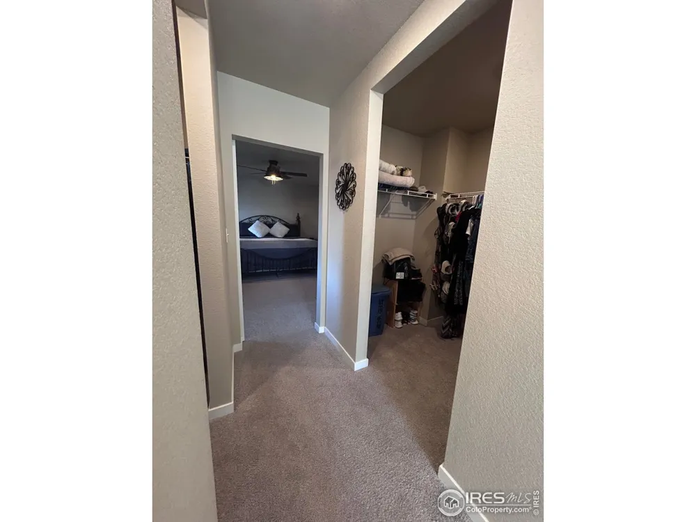 1202 Coyote Lane Wiggins, CO 80654