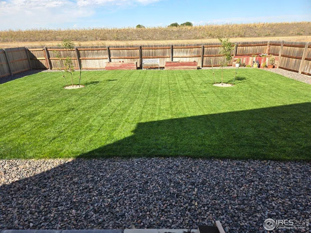 1202 Coyote Lane Wiggins, CO 80654