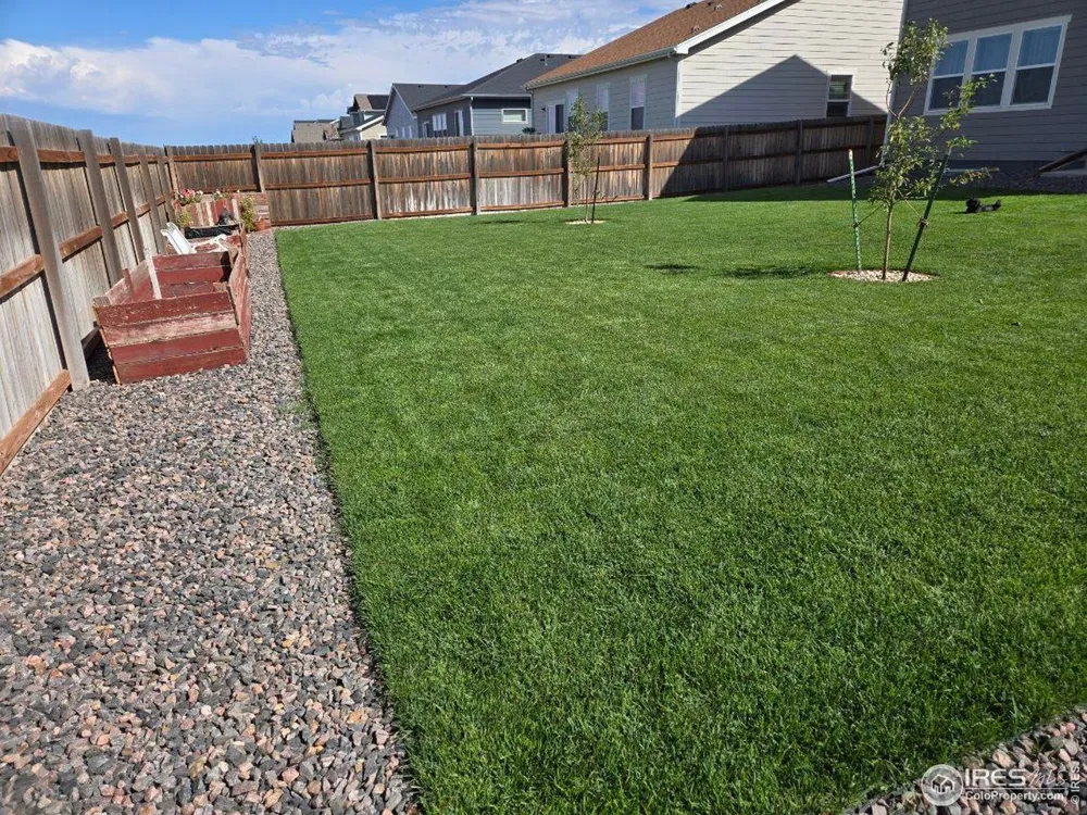 1202 Coyote Lane Wiggins, CO 80654