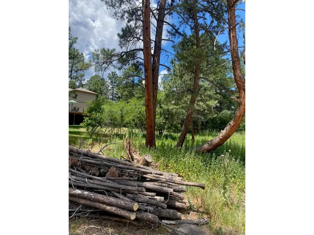 1025 Tenderfoot Drive Larkspur, CO 80118