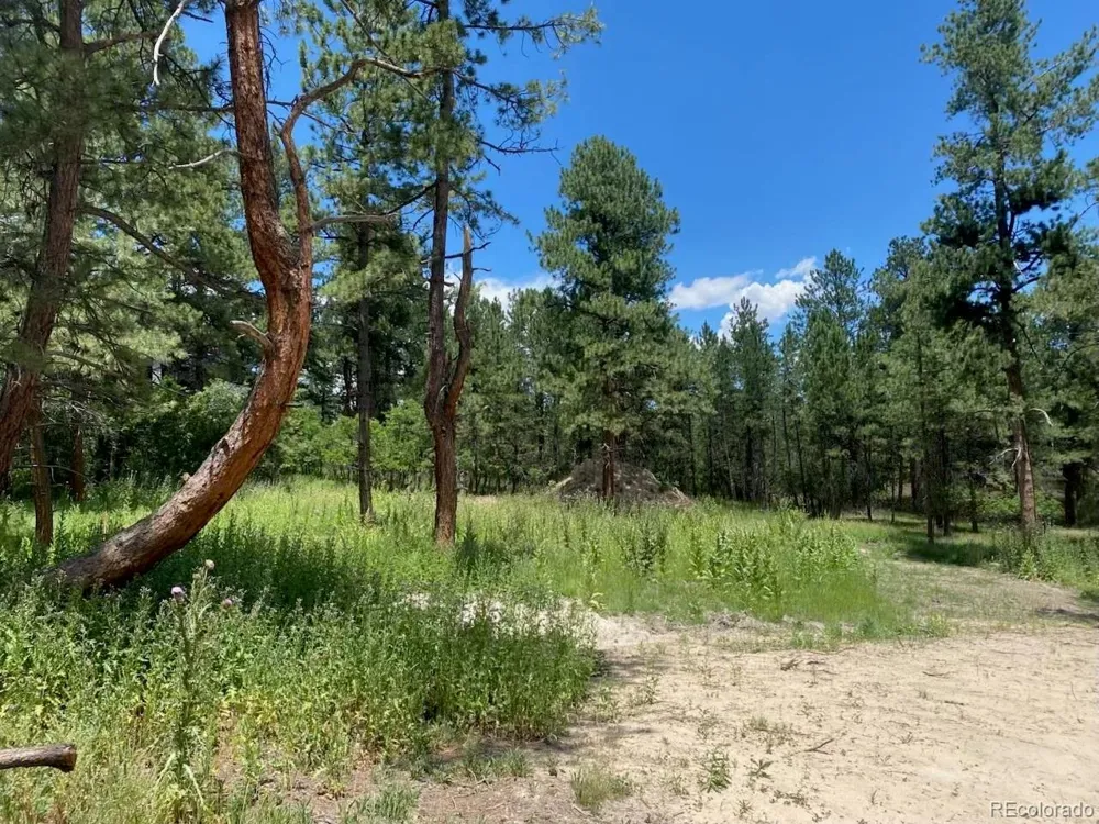1025 Tenderfoot Drive Larkspur, CO 80118