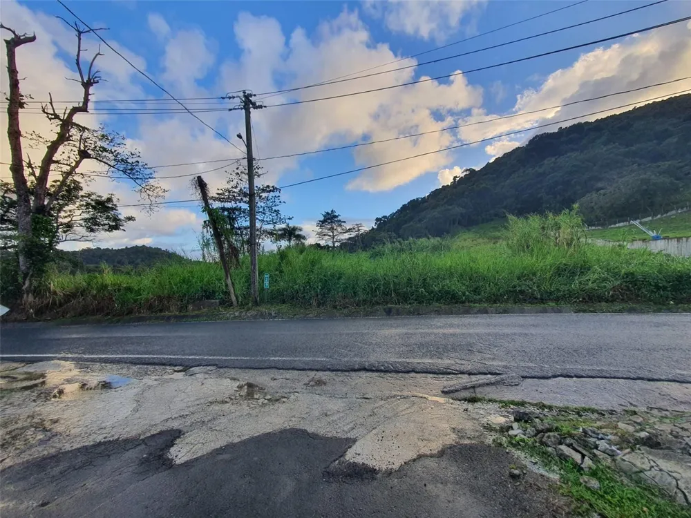 CARR 191 Naguabo, PR 00718