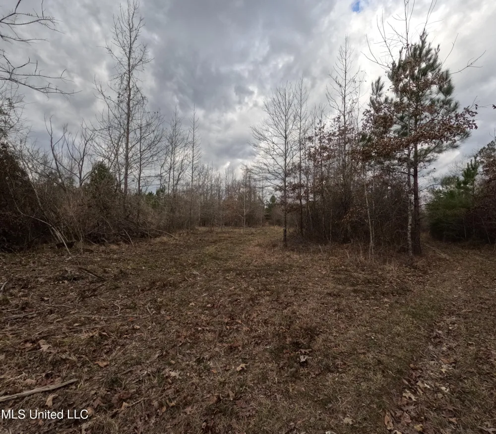 Rockport New Hebron Road New Hebron, MS 39140