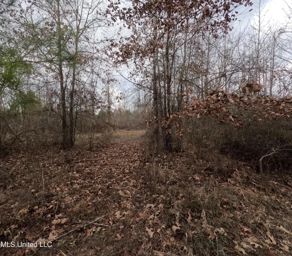 Rockport New Hebron Road New Hebron, MS 39140