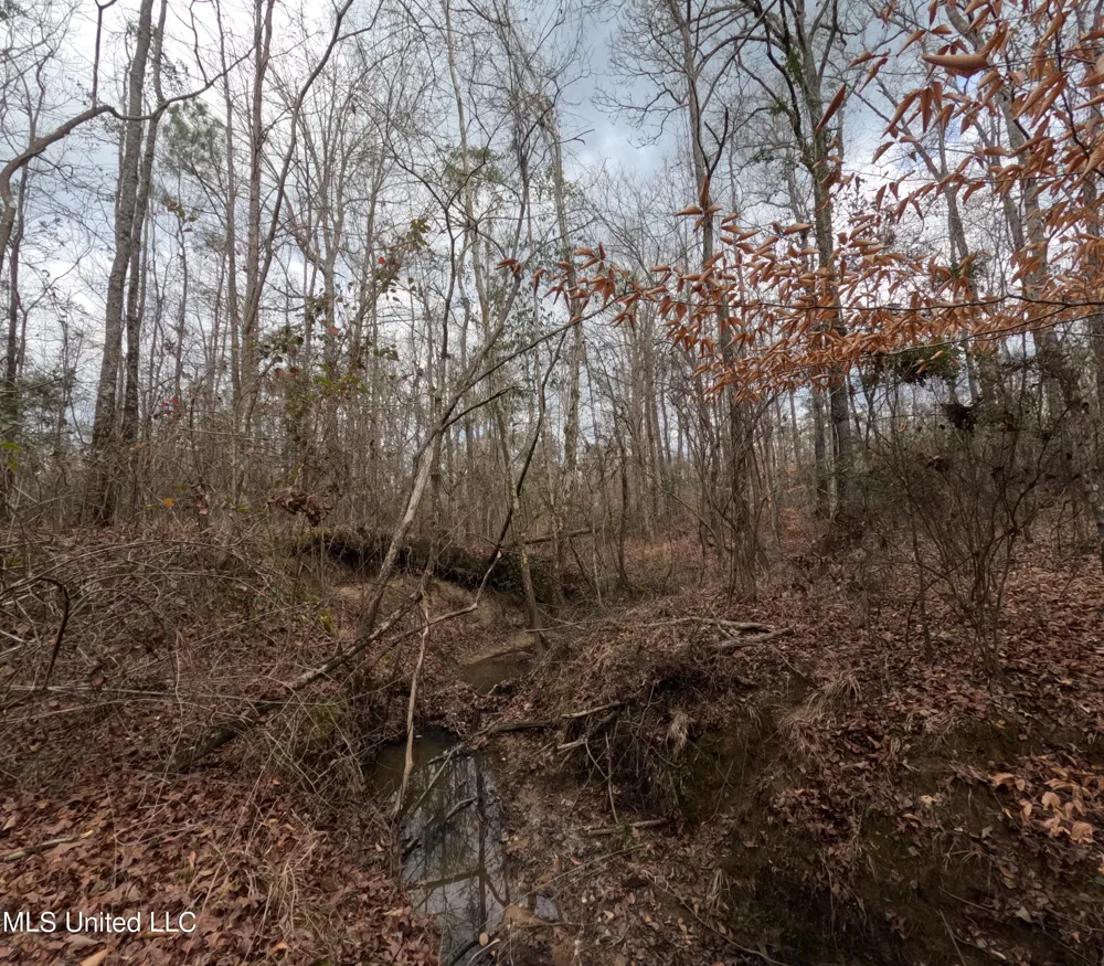 Rockport New Hebron Road New Hebron, MS 39140