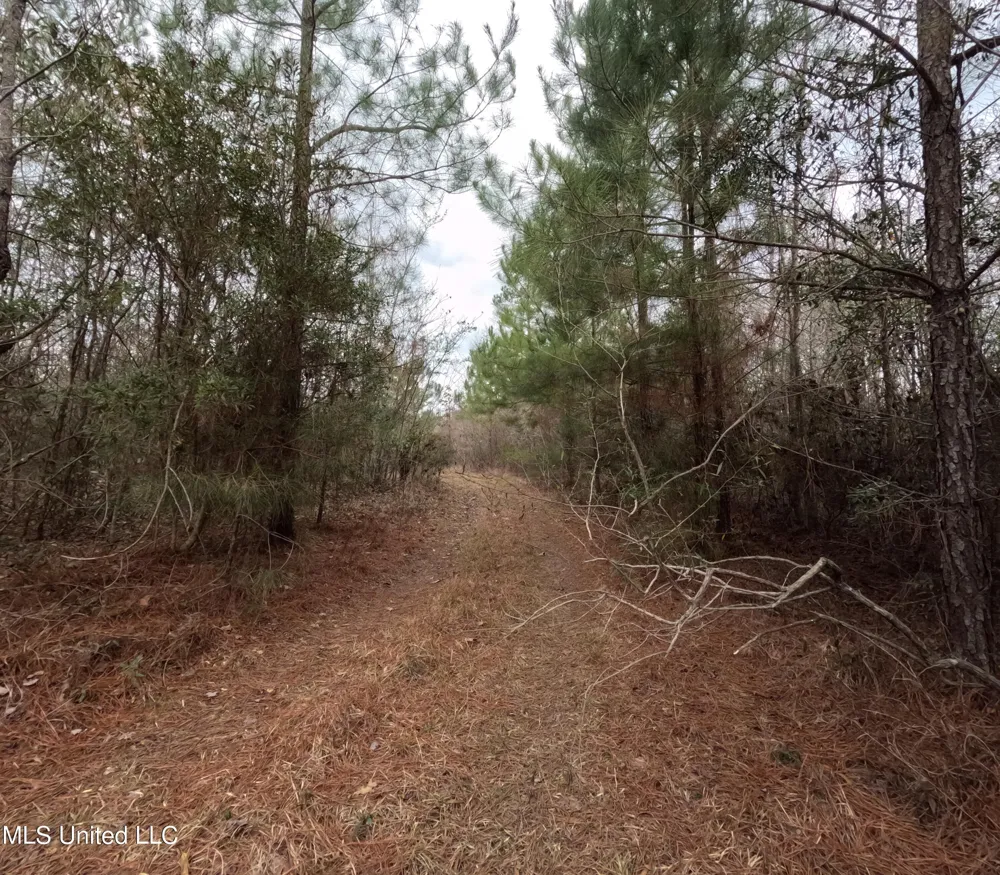 Rockport New Hebron Road New Hebron, MS 39140