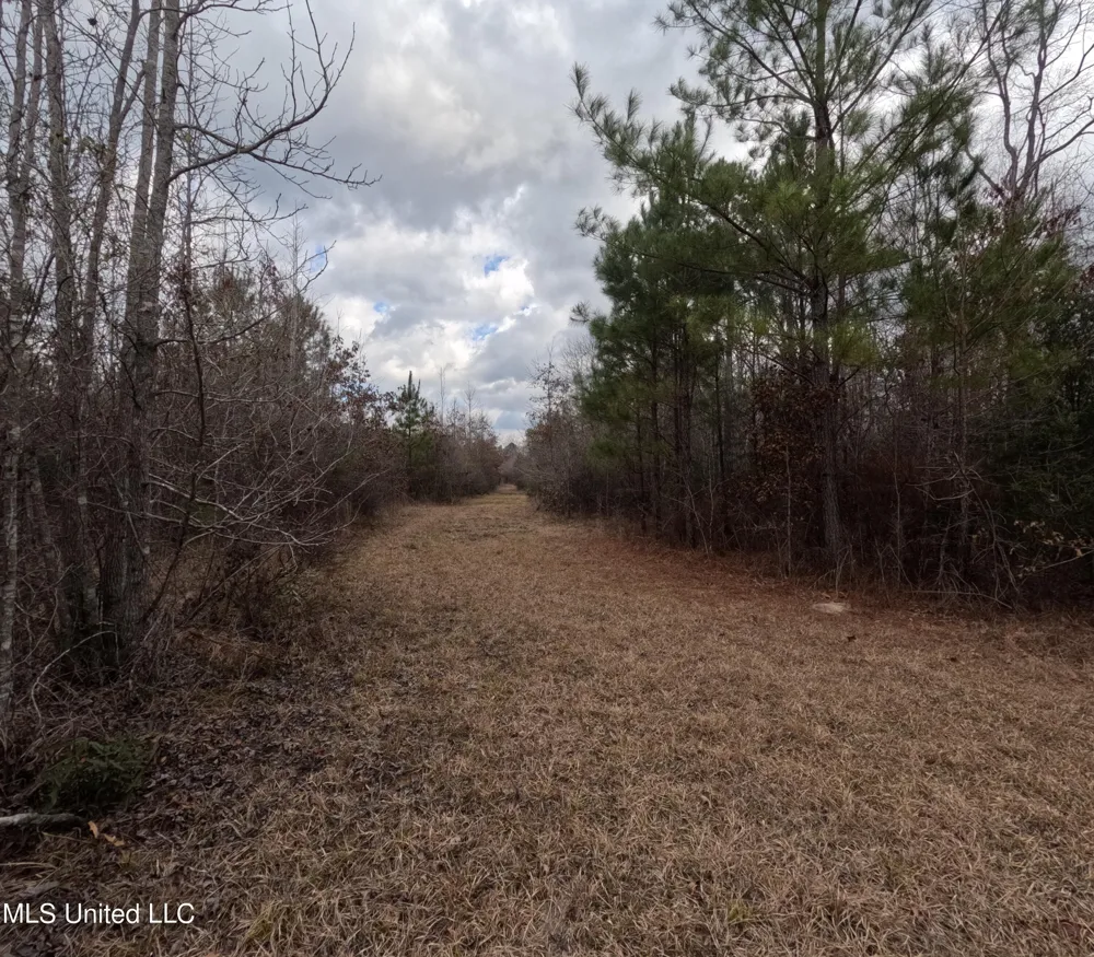Rockport New Hebron Road New Hebron, MS 39140