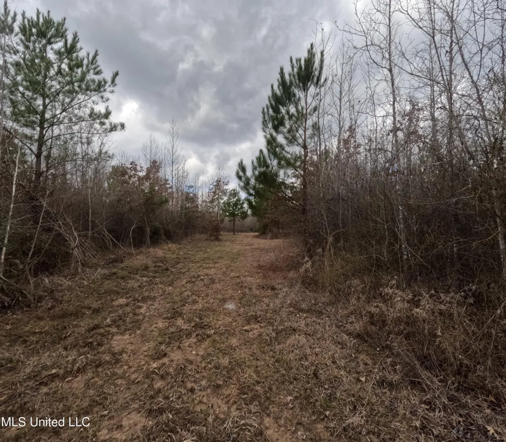 Rockport New Hebron Road New Hebron, MS 39140