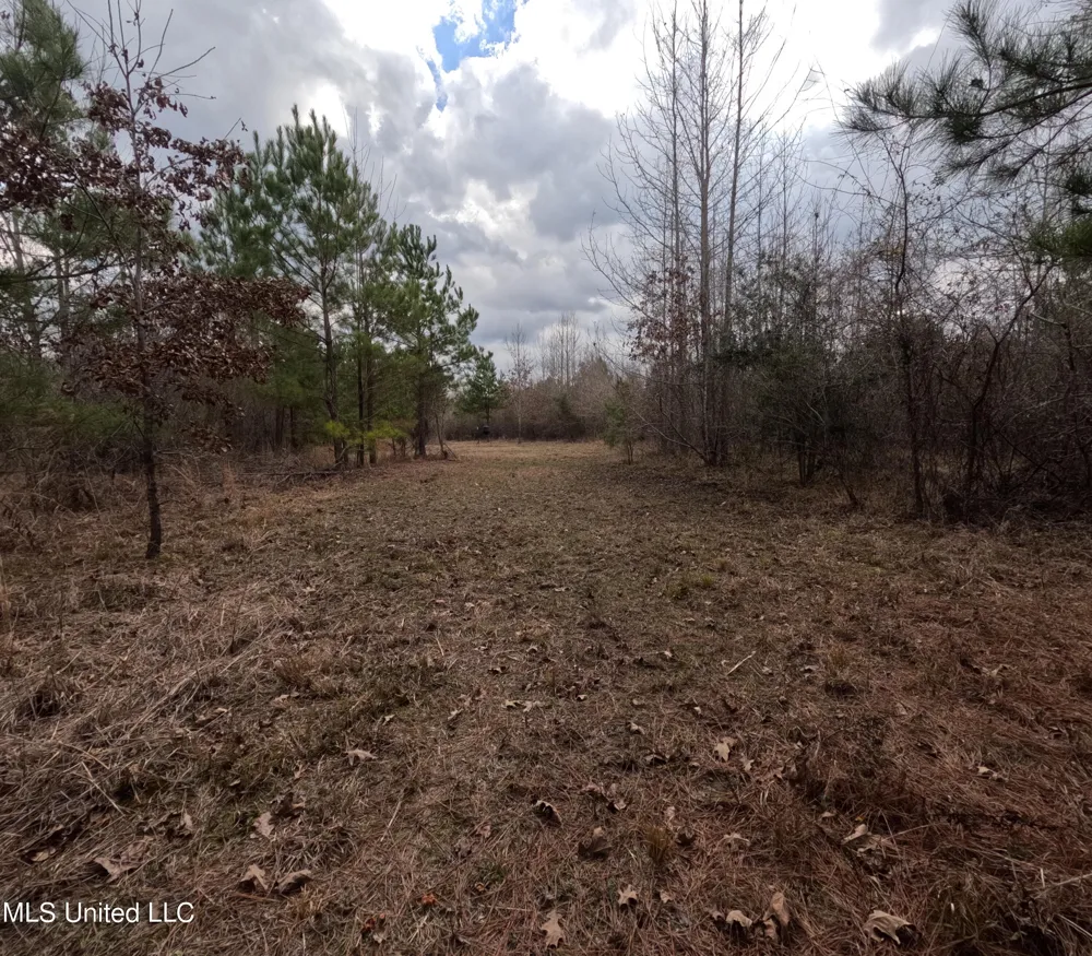 Rockport New Hebron Road New Hebron, MS 39140