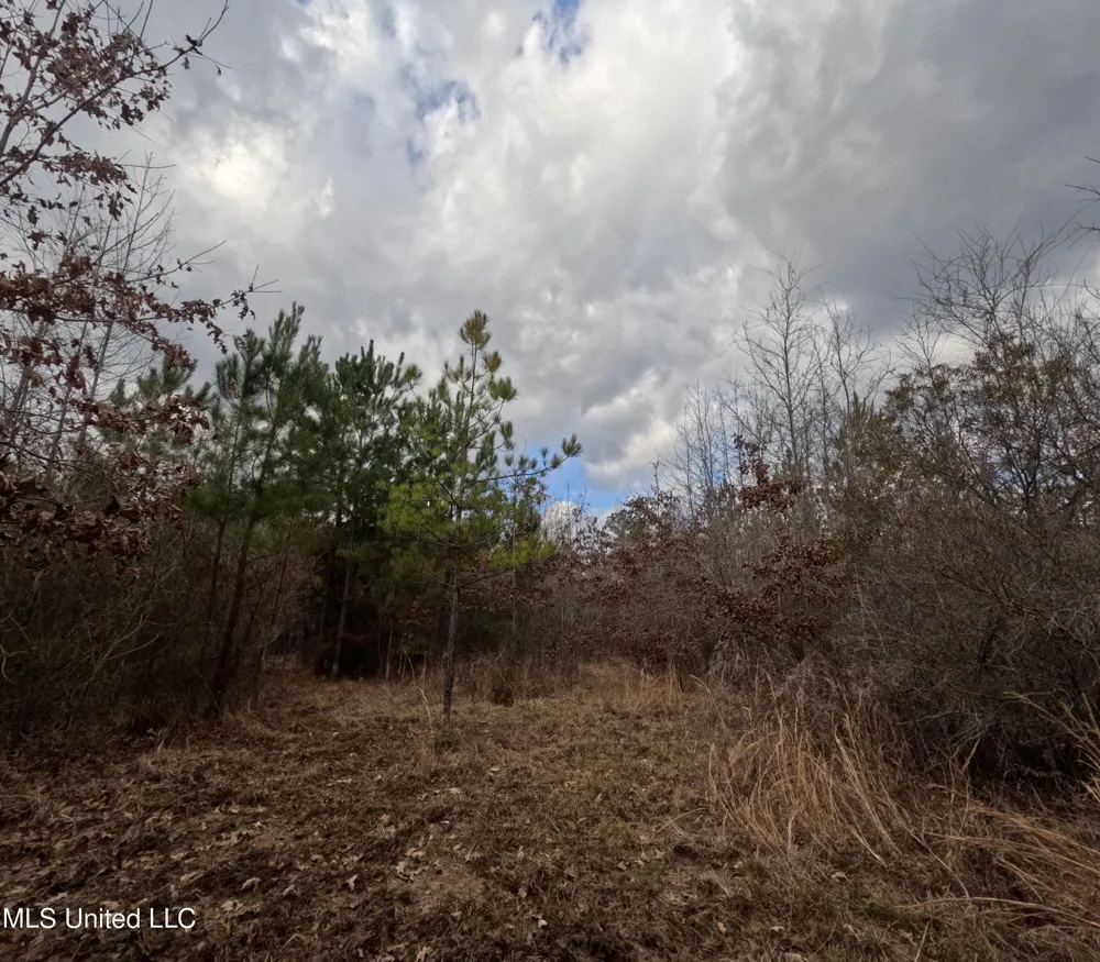 Rockport New Hebron Road New Hebron, MS 39140