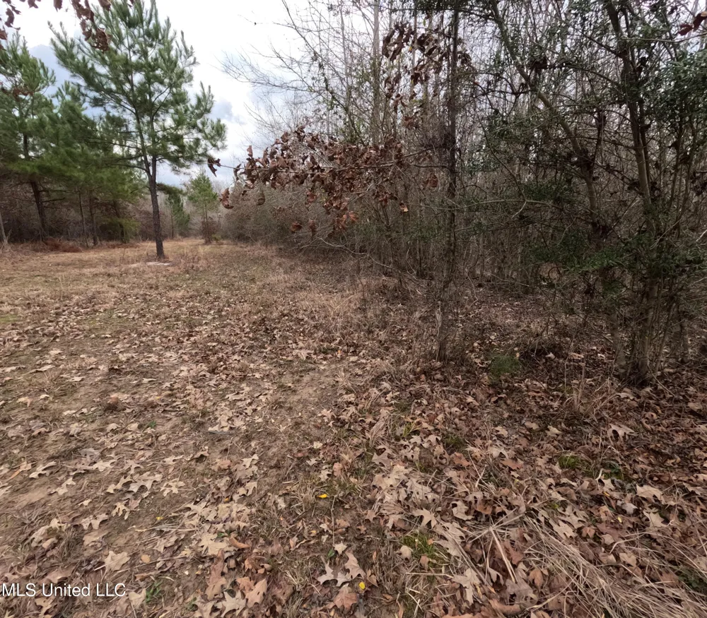 Rockport New Hebron Road New Hebron, MS 39140