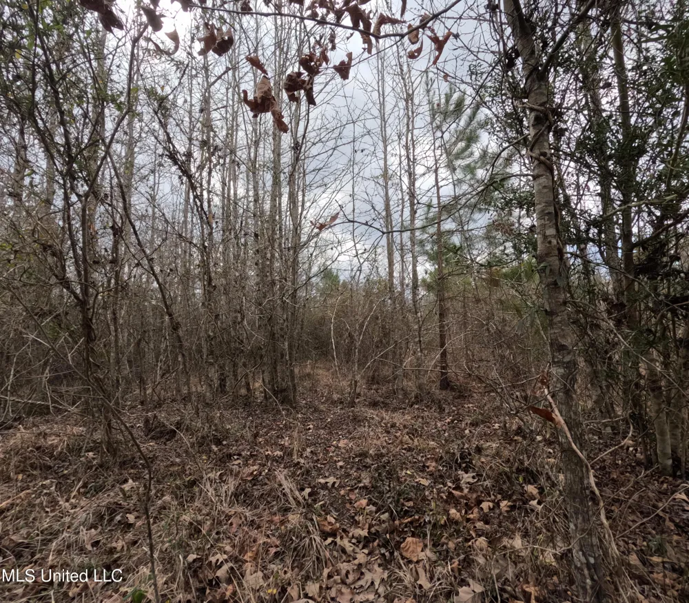 Rockport New Hebron Road New Hebron, MS 39140